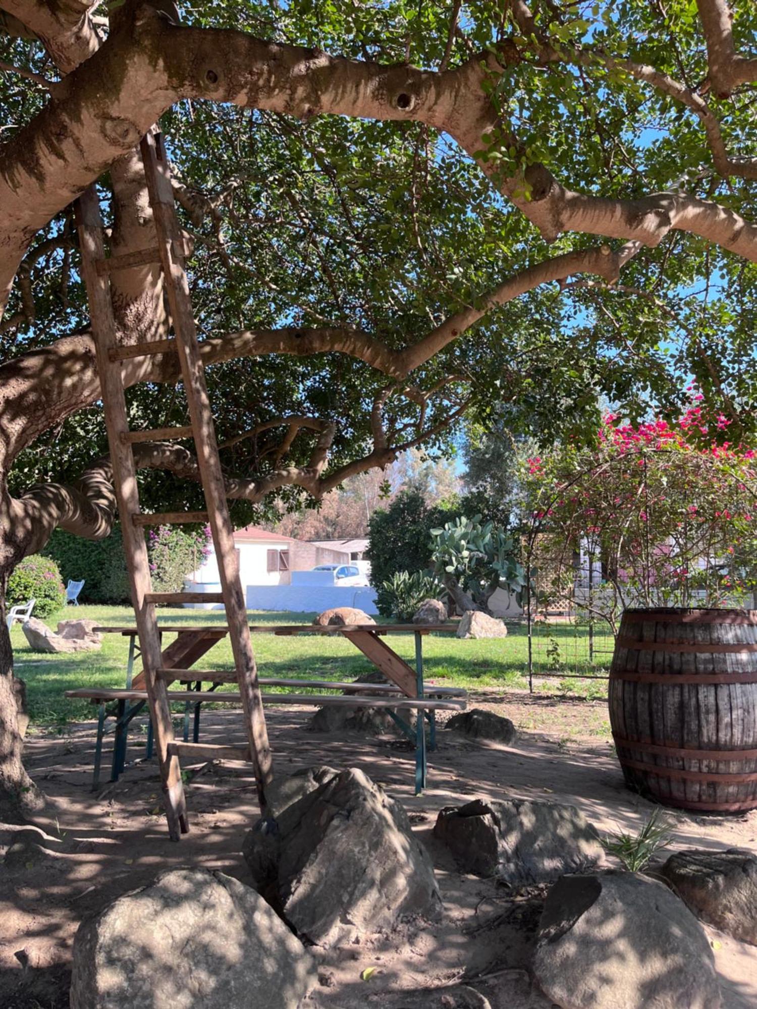 Bed and Breakfast Bidd'E Majori San Priamo Экстерьер фото